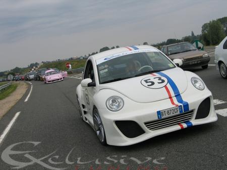 une beetle
